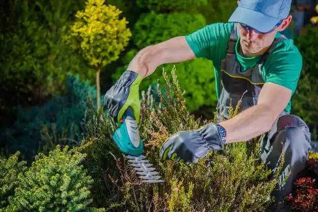 landscaping services Hillsdale